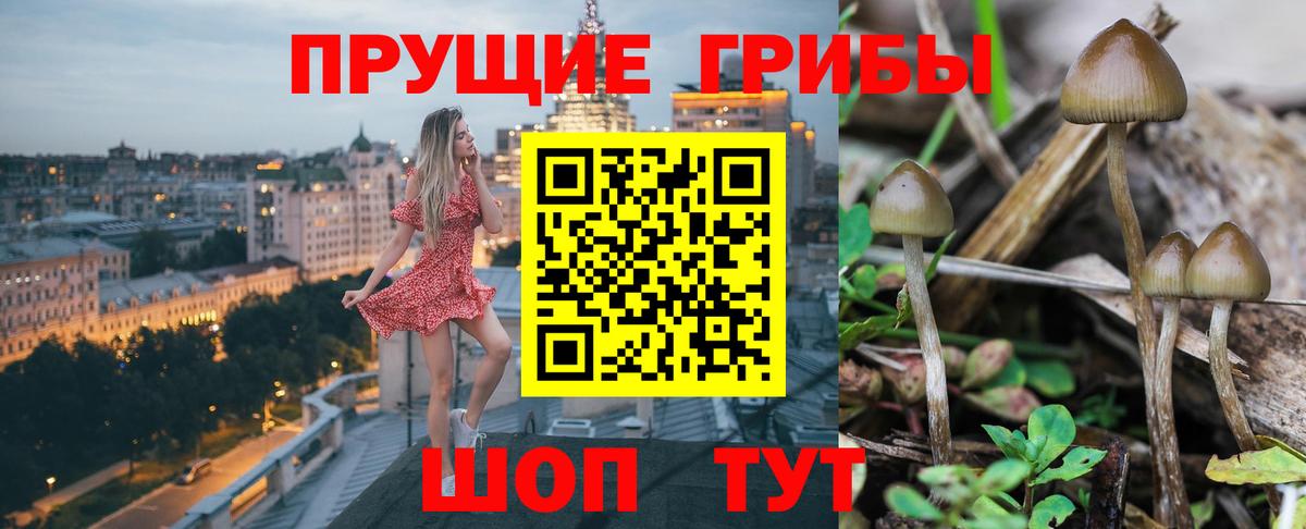 купить наркоту  Вход с VPN  Вышний Волочёк  Псилоцибиновые грибы ЛСД 